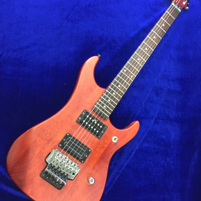 Used WASHBURN N2