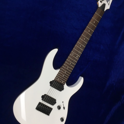 Used Ibanez RG7421 2013 7 string