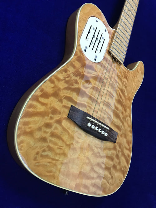 Used GODIN L.R.Baggs Tele