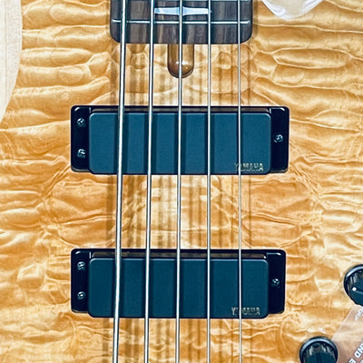 Used YAMAHA TRB1005J 5 String w/Softcase