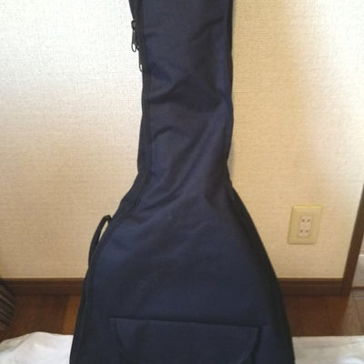 Used Epiphone HOWARD ROBERTS HR FUSION III