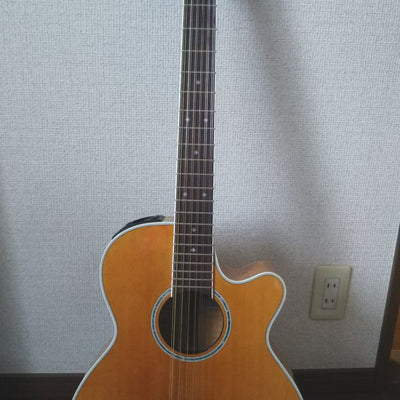Used Takamine PTU111-12 2005