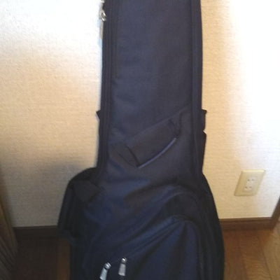 Used Fujigen(FGN) NCTL-10M ASH Thinline NAT