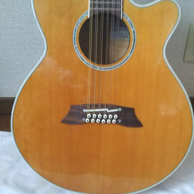Used Takamine PTU111-12 2005