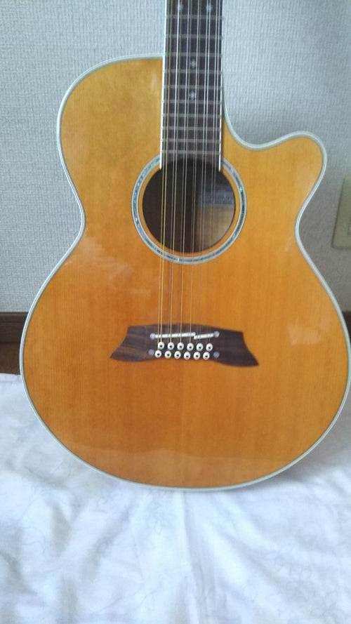 Used Takamine PTU111-12 2005