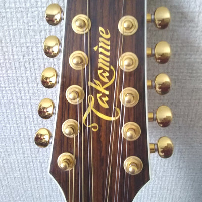 Used Takamine PTU111-12 2005