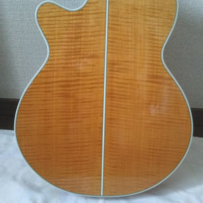 Used Takamine PTU111-12 2005