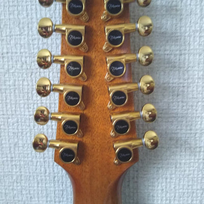 Used Takamine PTU111-12 2005