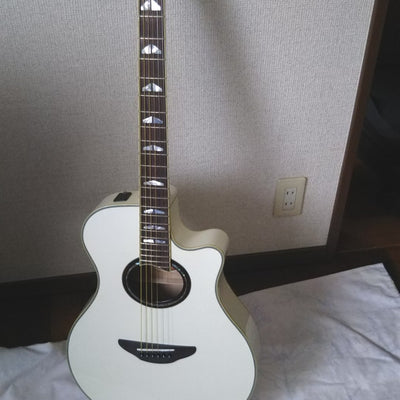Used YAMAHA APX1000