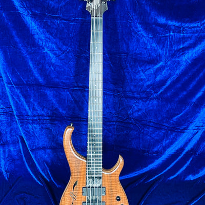 Used MODULUS Quantum 5 Semi-Hollow Body Figured Walnut Top