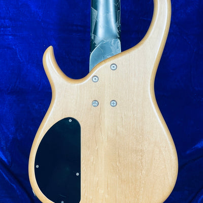 Used MODULUS Quantum 5 Semi-Hollow Body Figured Walnut Top